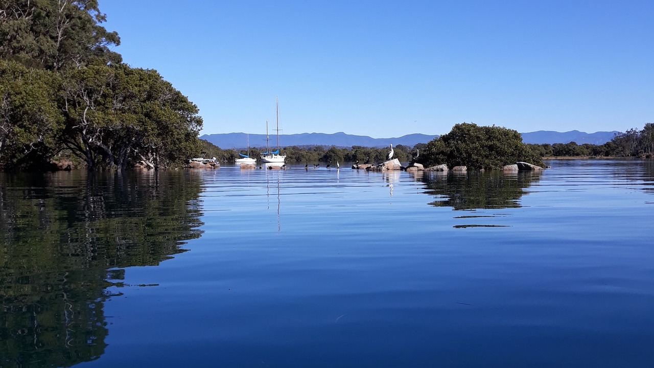 Photo of Others in Moruya Heads