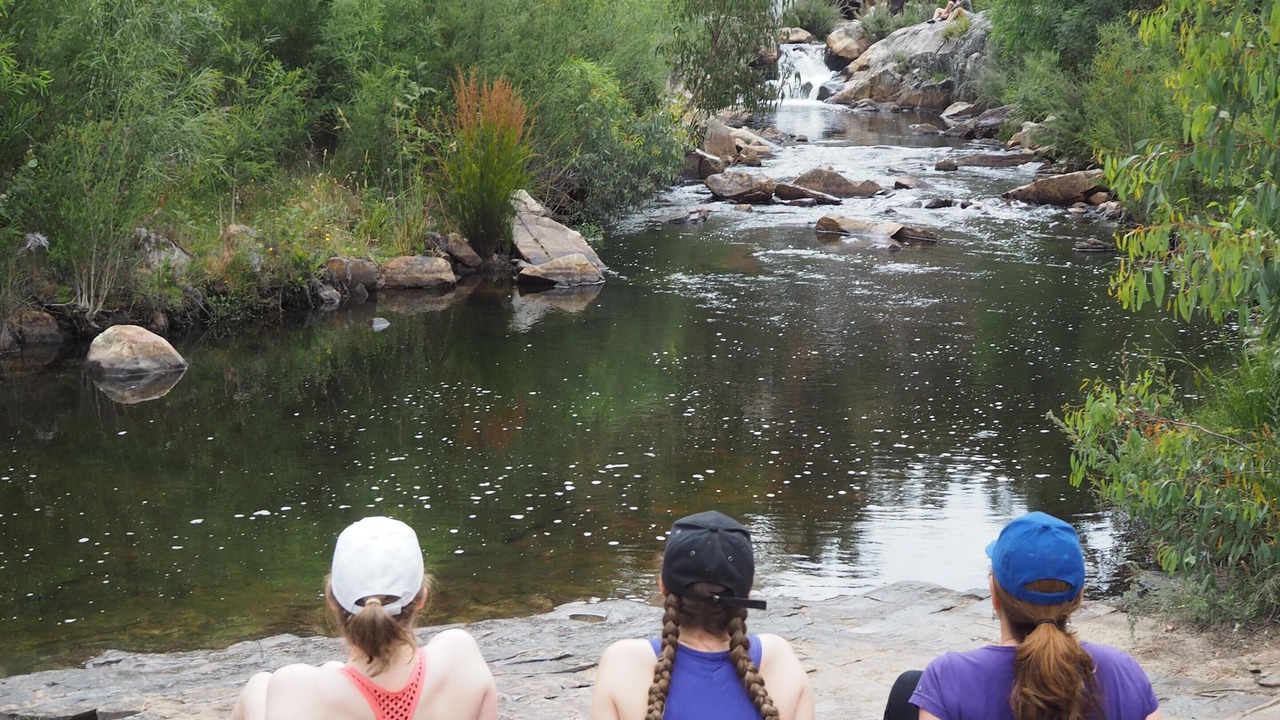Photo of Others in Halls Gap