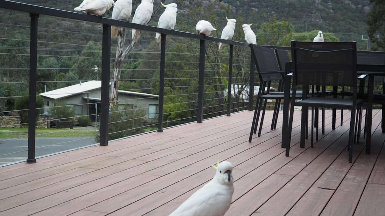Photo of Others in Halls Gap