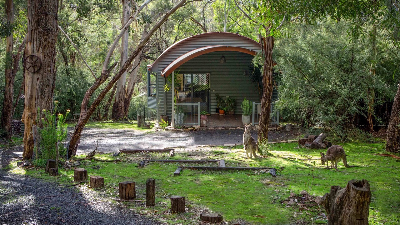 Photo of Others in Halls Gap