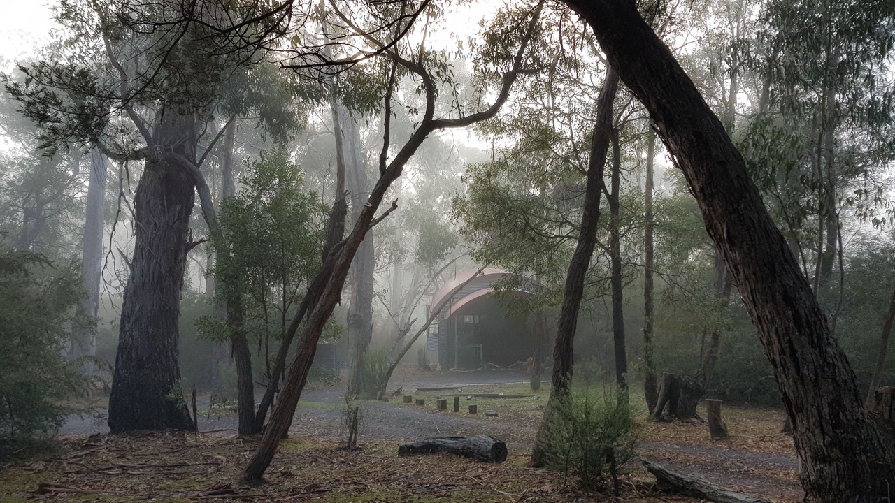 Photo of Others in Halls Gap