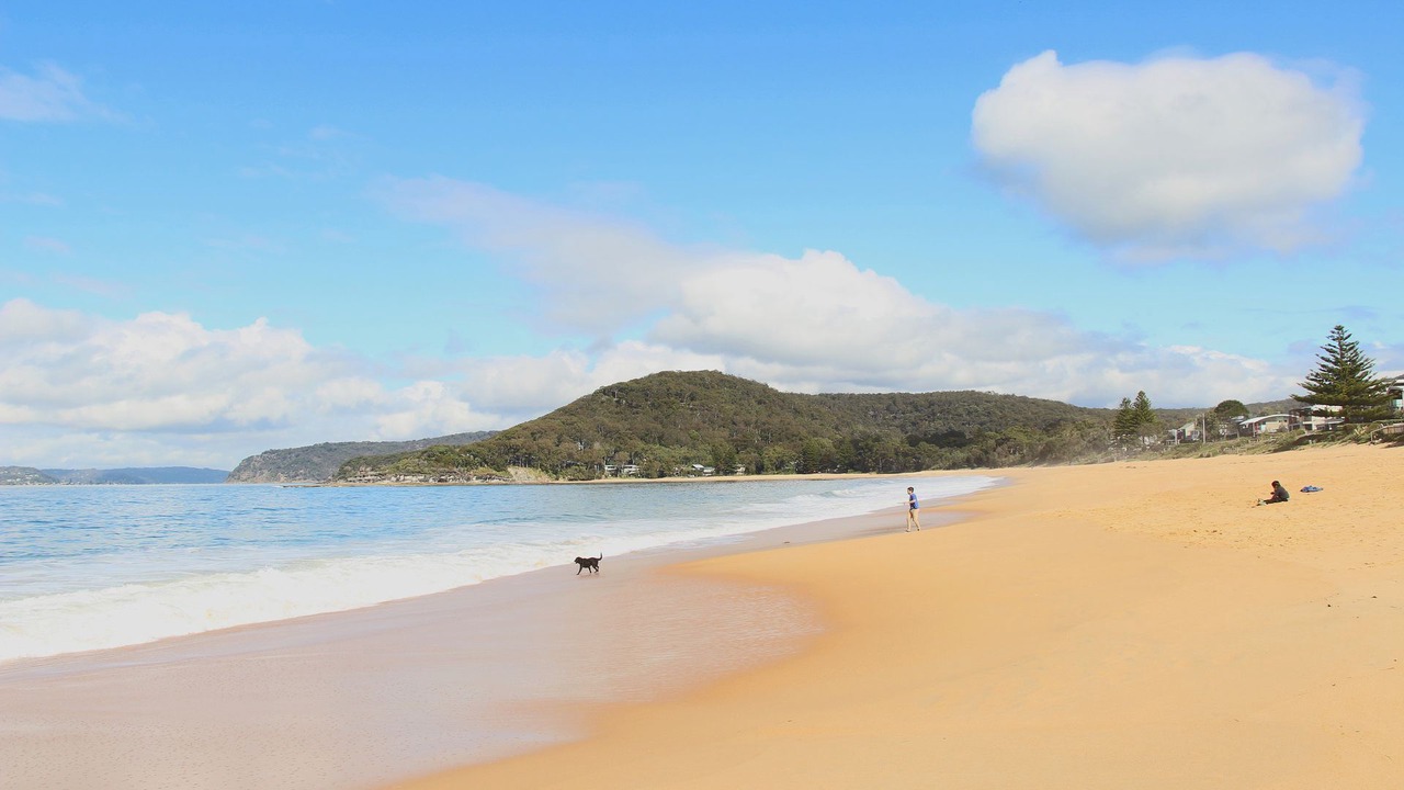 Photo of Others in Pearl Beach