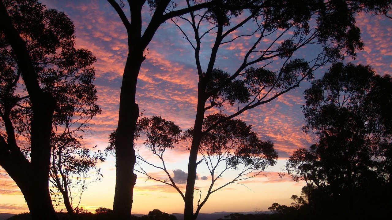 Photo of Outdoor in Mount Victoria