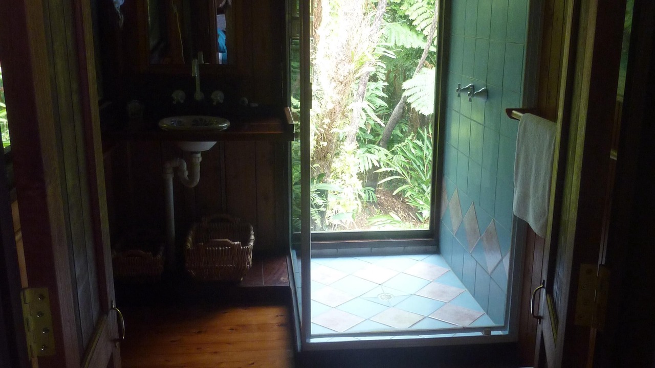 Photo of Bathroom in Diwan