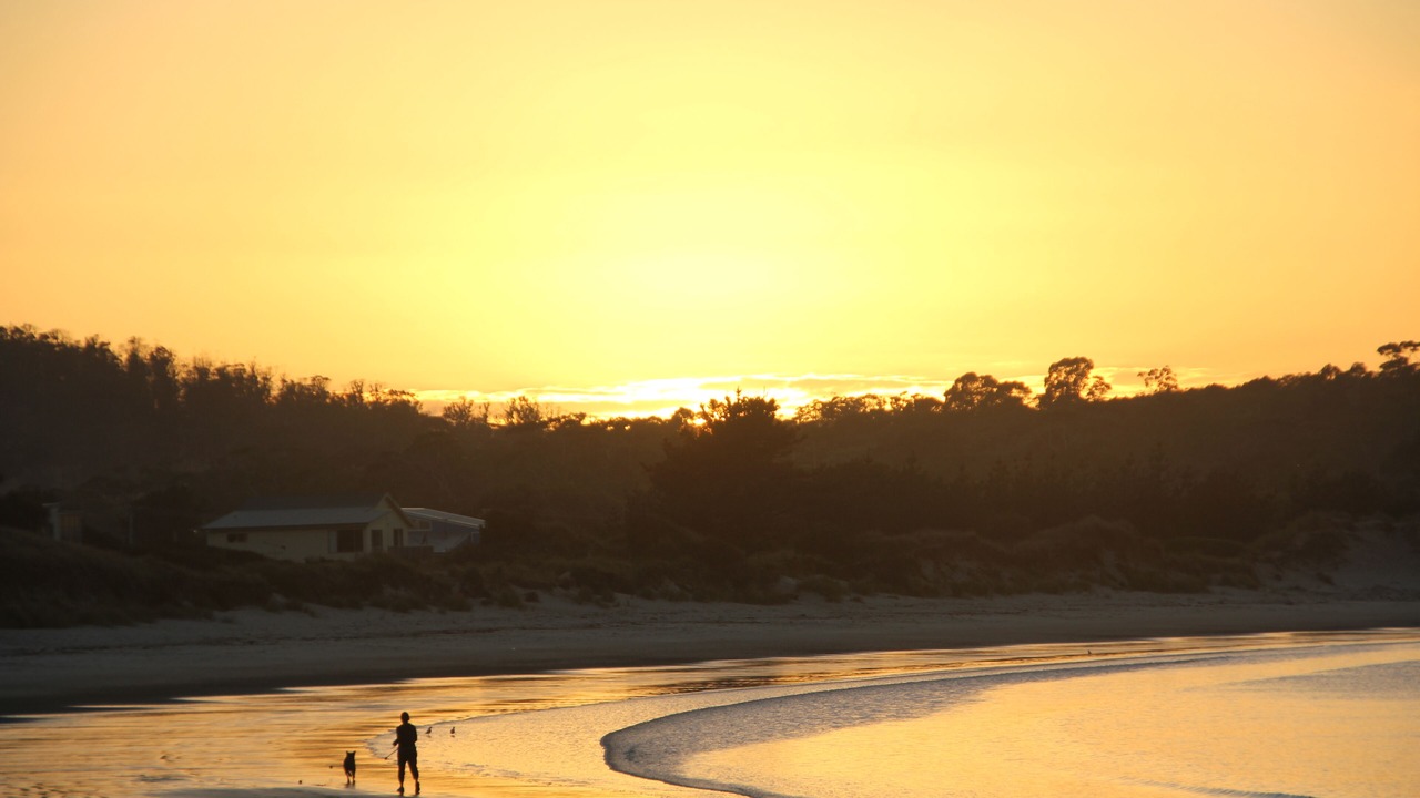 Photo of Others in Primrose Sands
