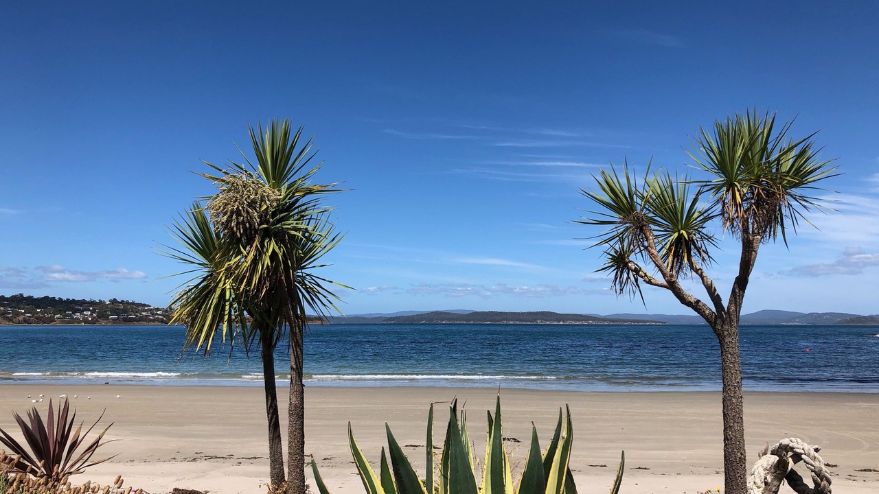 Photo of Others in Primrose Sands