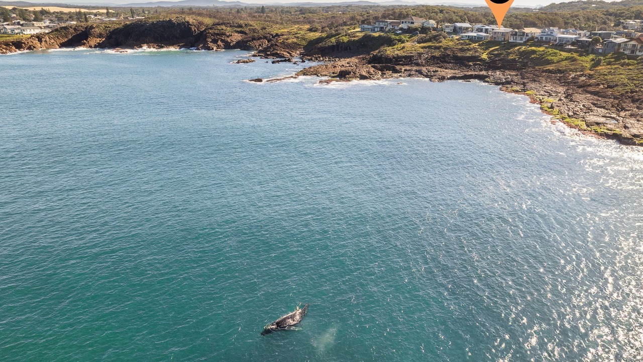 Photo of Outdoor in Fishermans Bay