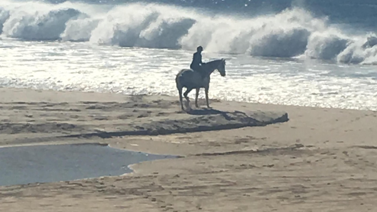 Photo of Others in Catherine Hill Bay