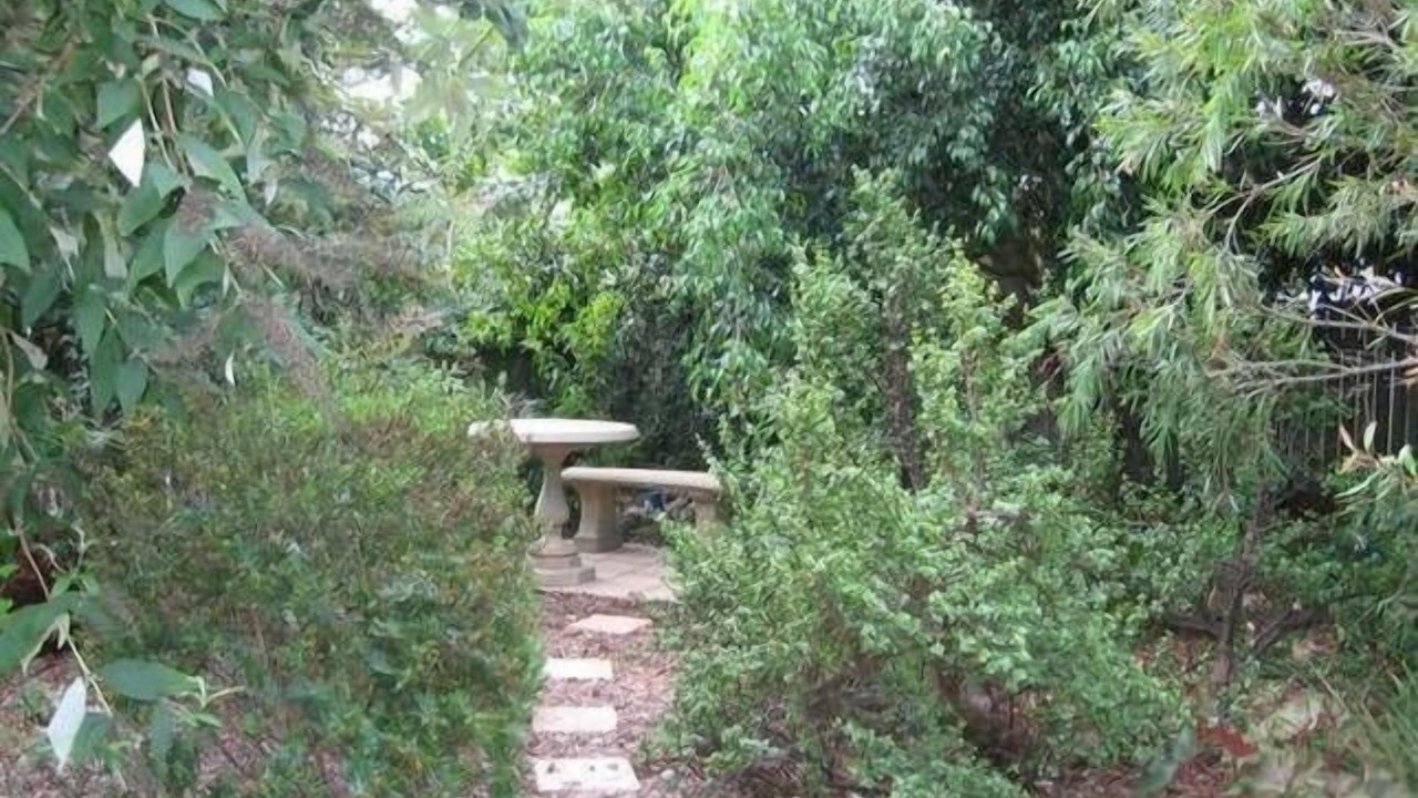Photo of Patio Balcony in Burrill Lake