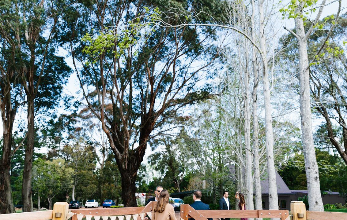 Photo of Others in Robertson