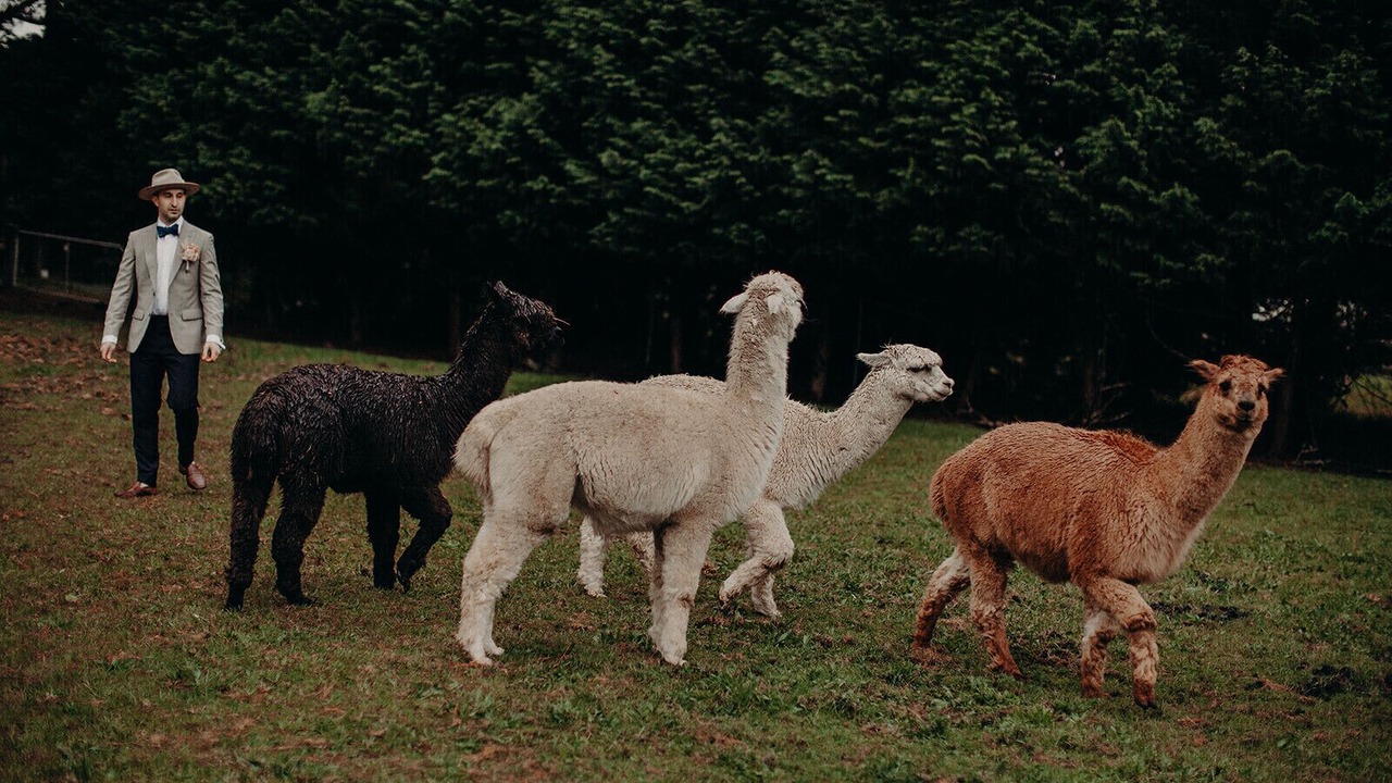 Photo of Others in Robertson