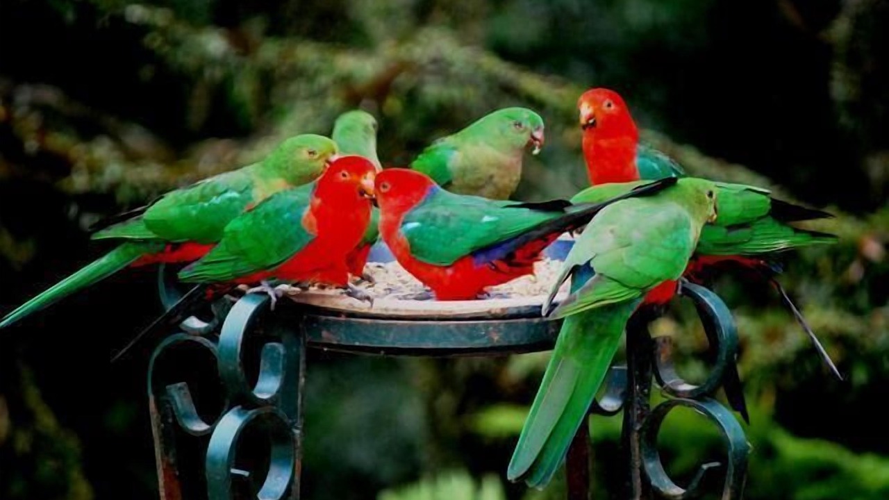 Photo of Others in Mount Tomah