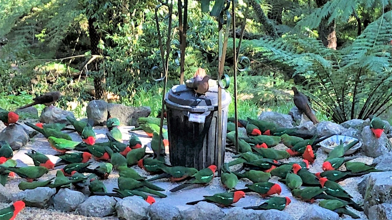 Photo of Outdoor in Mount Tomah