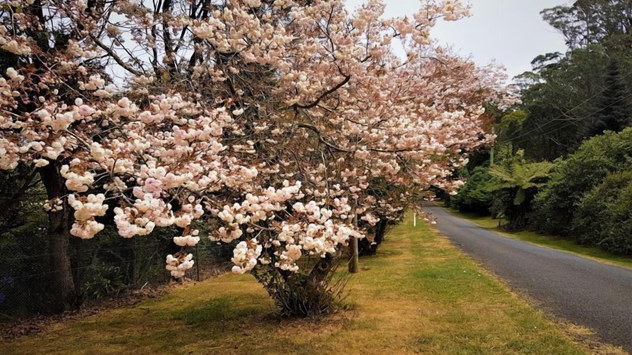 Photo of Outdoor in Mount Tomah