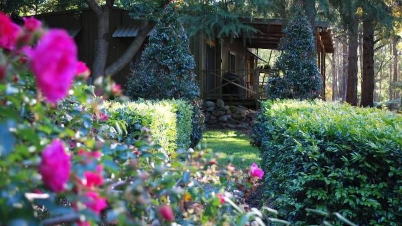 Photo of Outdoor in Mount Tomah
