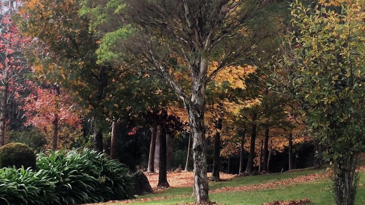 Photo of Outdoor in Mount Tomah