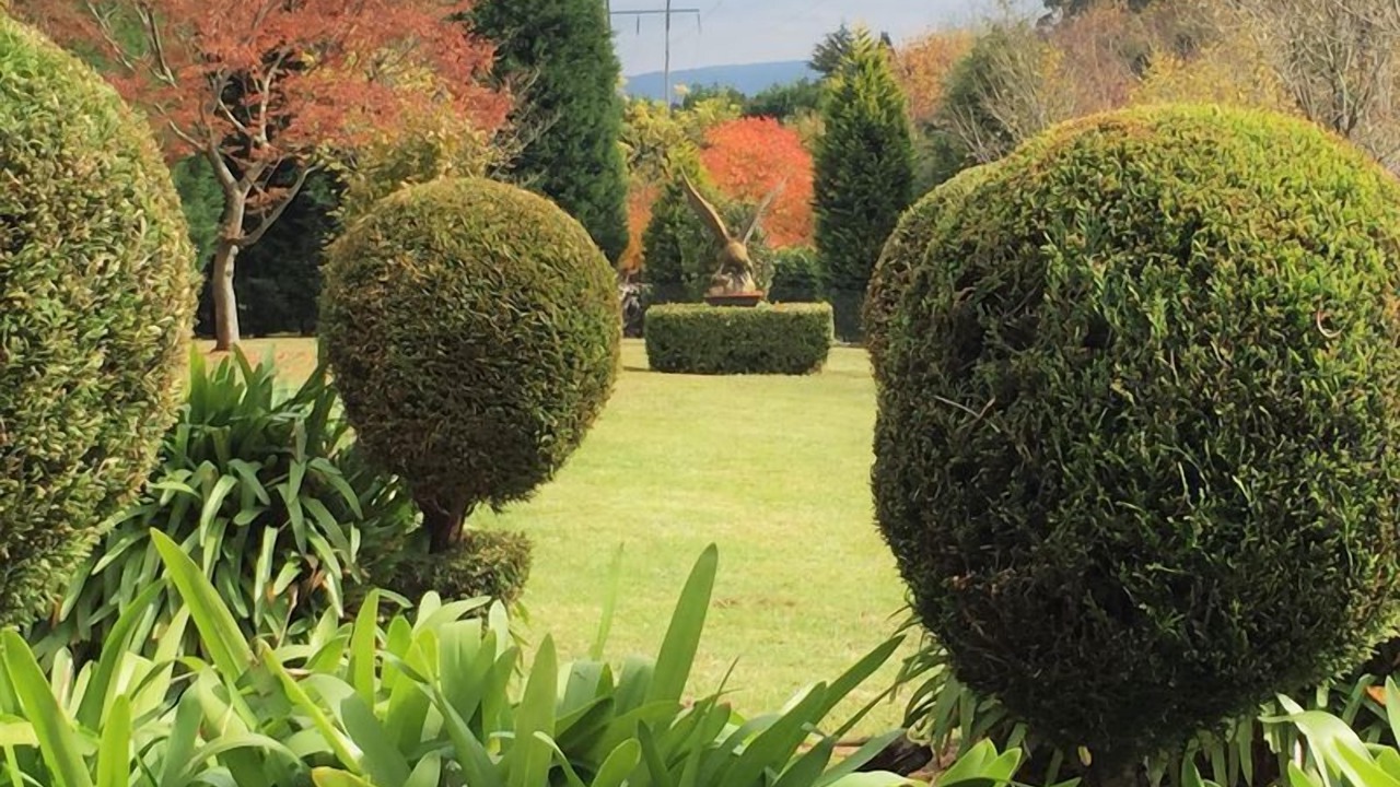 Photo of Outdoor in Mount Tomah