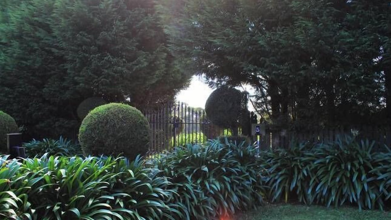 Photo of Outdoor in Mount Tomah