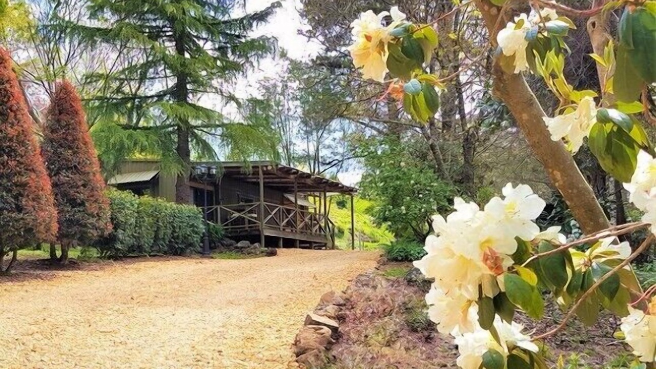 Photo of Outdoor in Mount Tomah