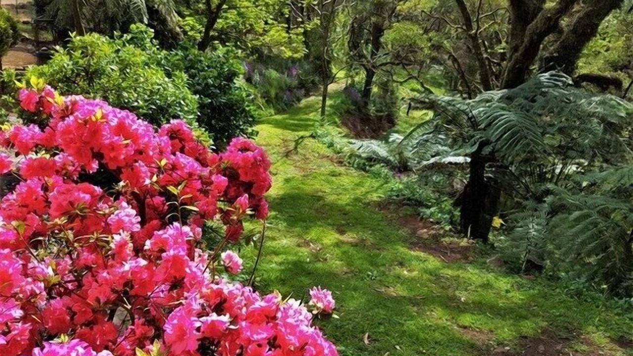 Photo of Outdoor in Mount Tomah