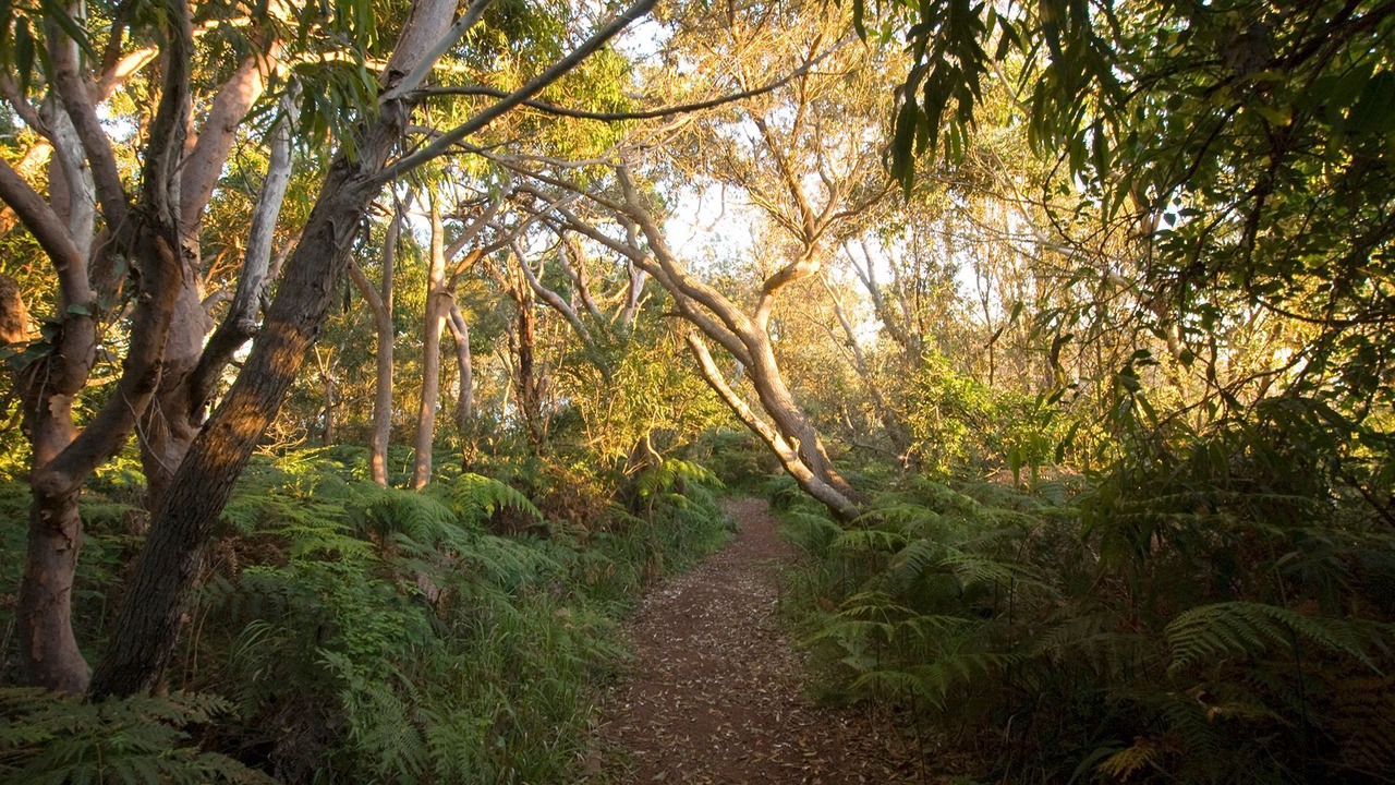 Photo of Outdoor in Fingal Bay