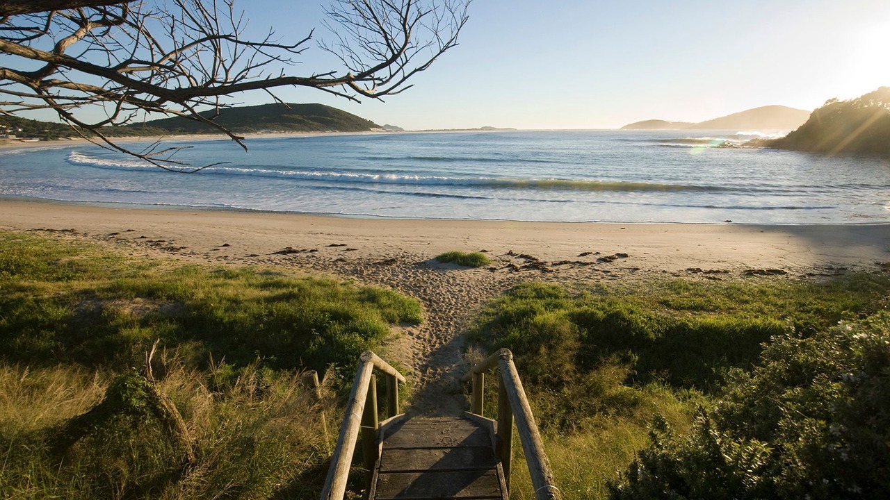Photo of Others in Fingal Bay