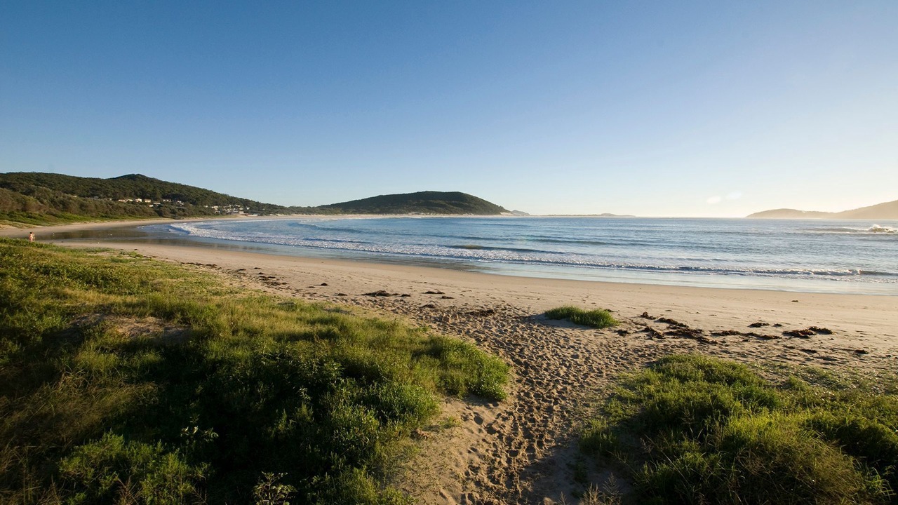 Photo of Others in Fingal Bay