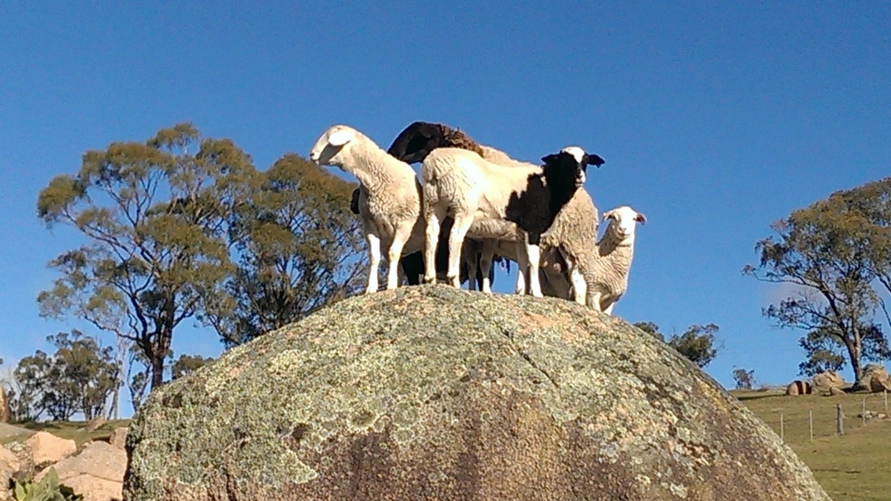 Photo of Outdoor in Hazelgrove