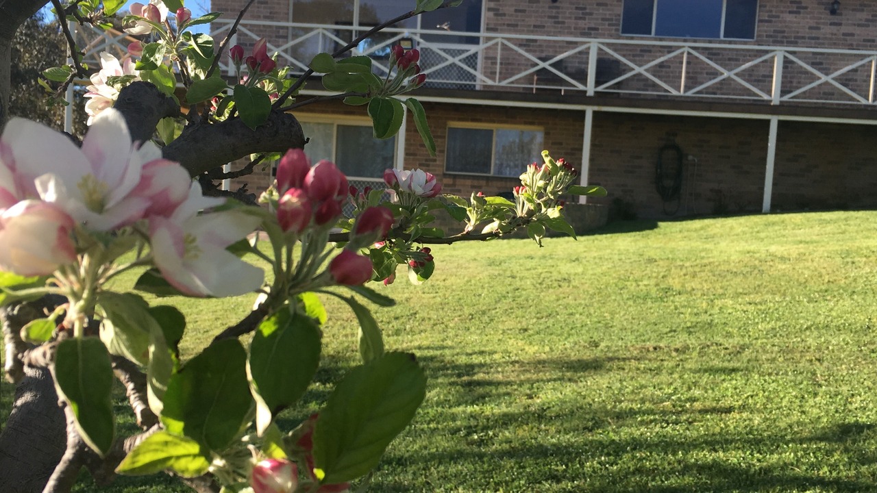 Photo of Outdoor in Hazelgrove