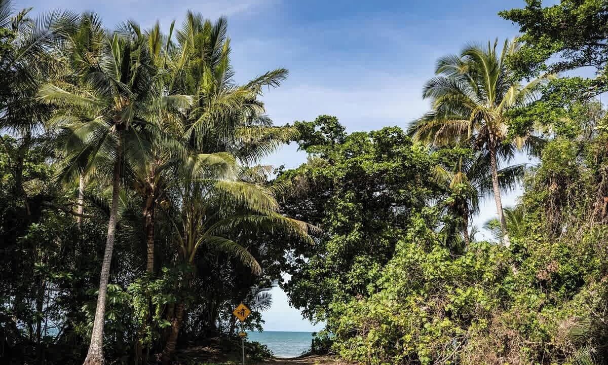 Photo of Others in Port Douglas