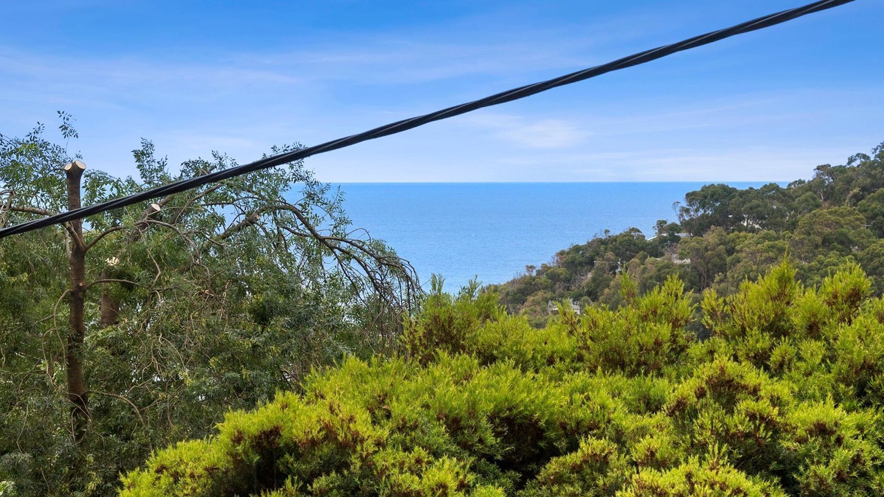 Photo of Others in Wye River