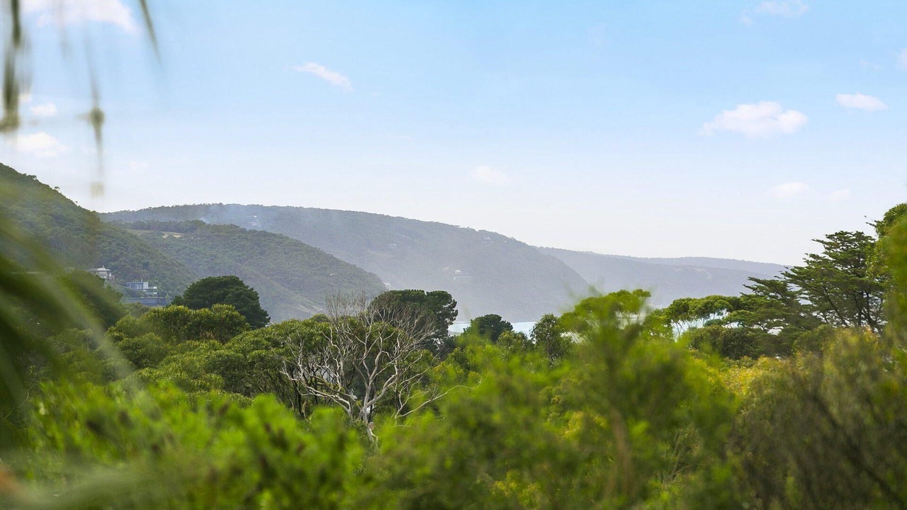 Photo of Others in Lorne