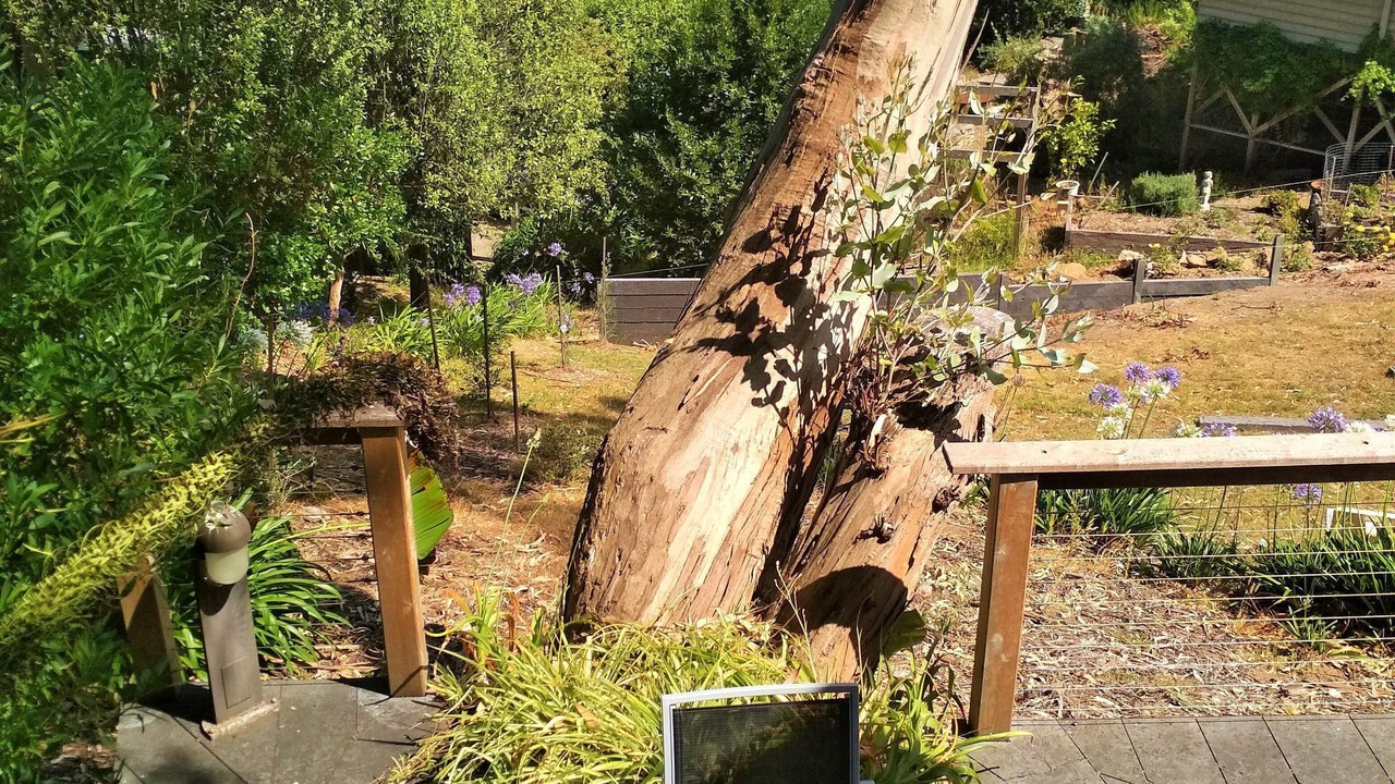 Photo of Outdoor in Lorne