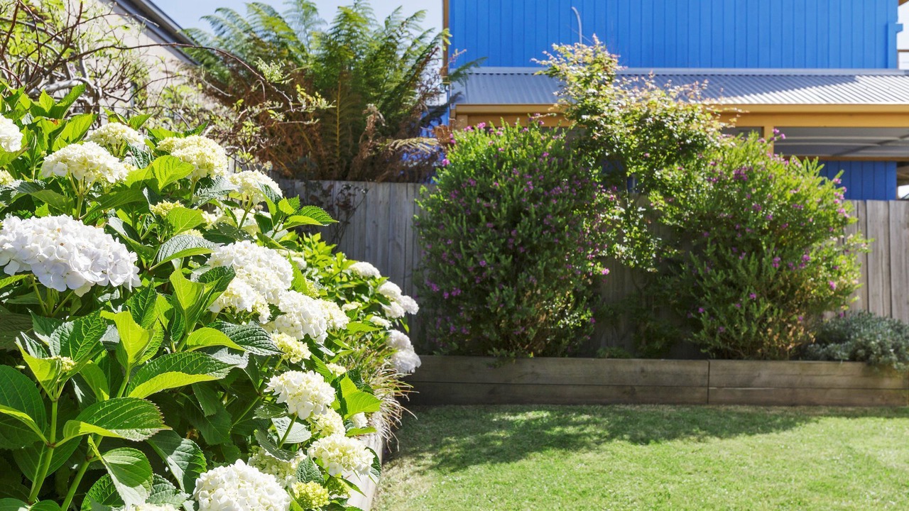 Photo of Outdoor in Apollo Bay