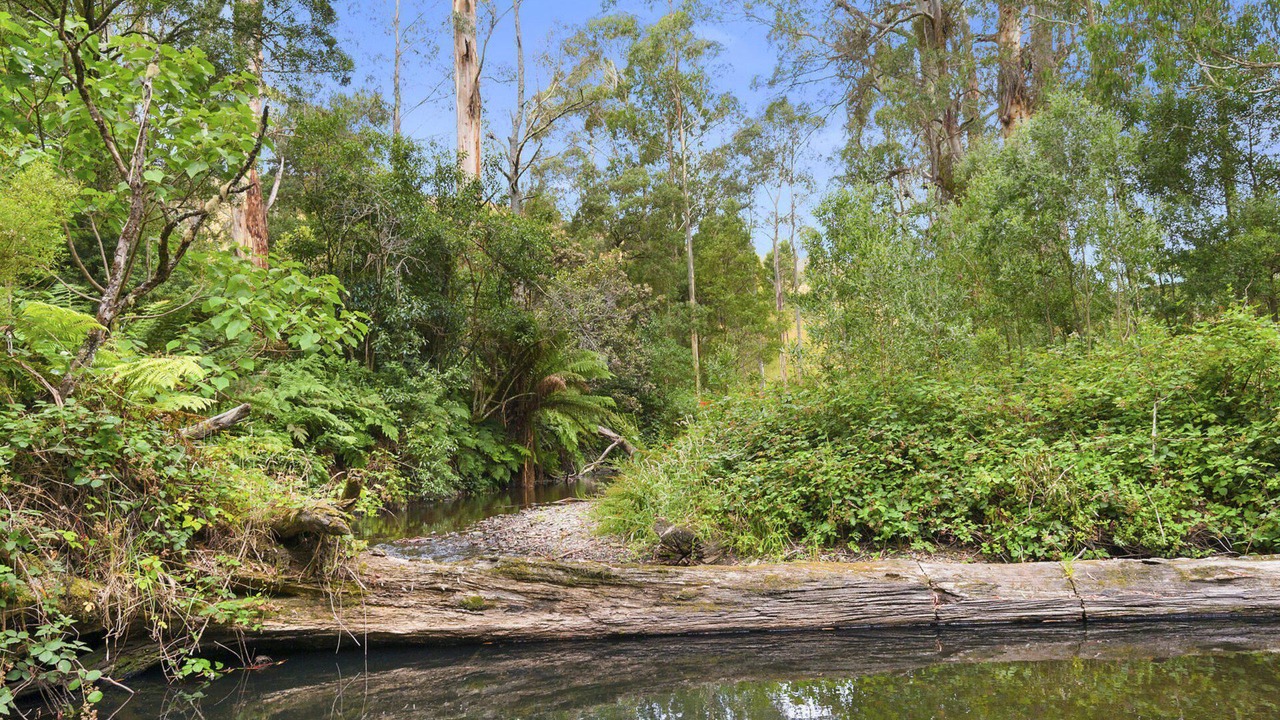 Photo of Outdoor in Apollo Bay