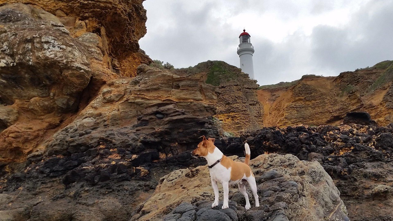 Photo of Others in Aireys Inlet
