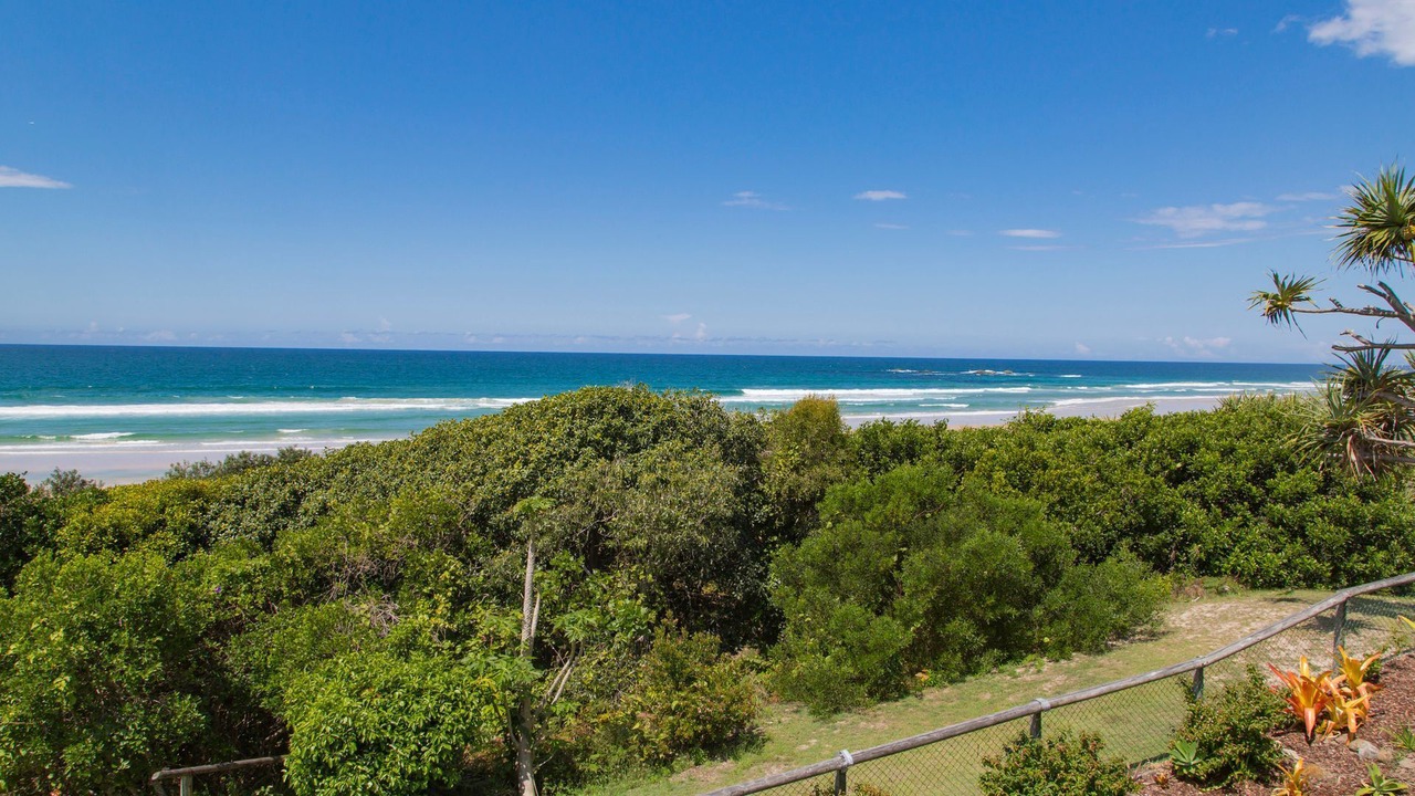 Photo of Others in Hastings Point