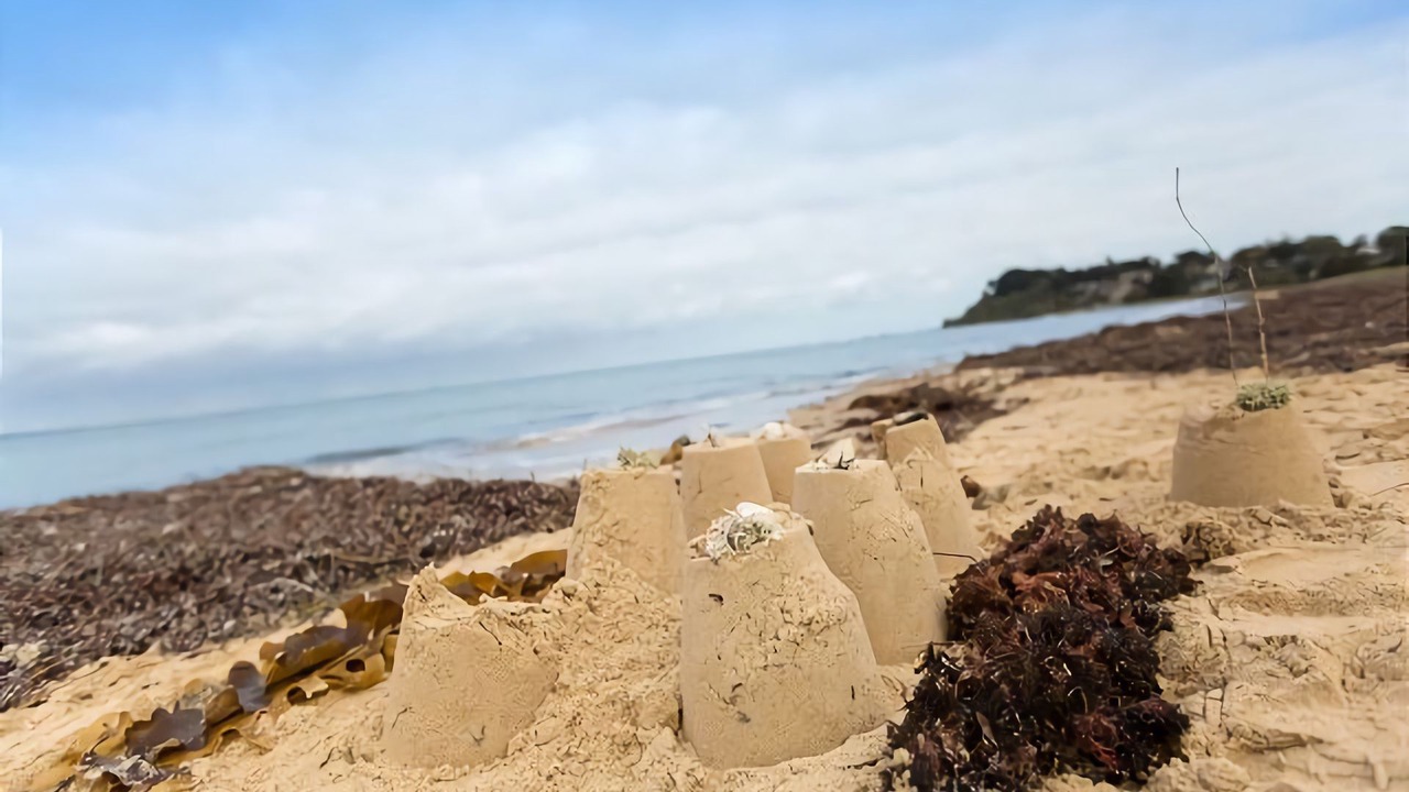 Photo of Others in Balnarring Beach