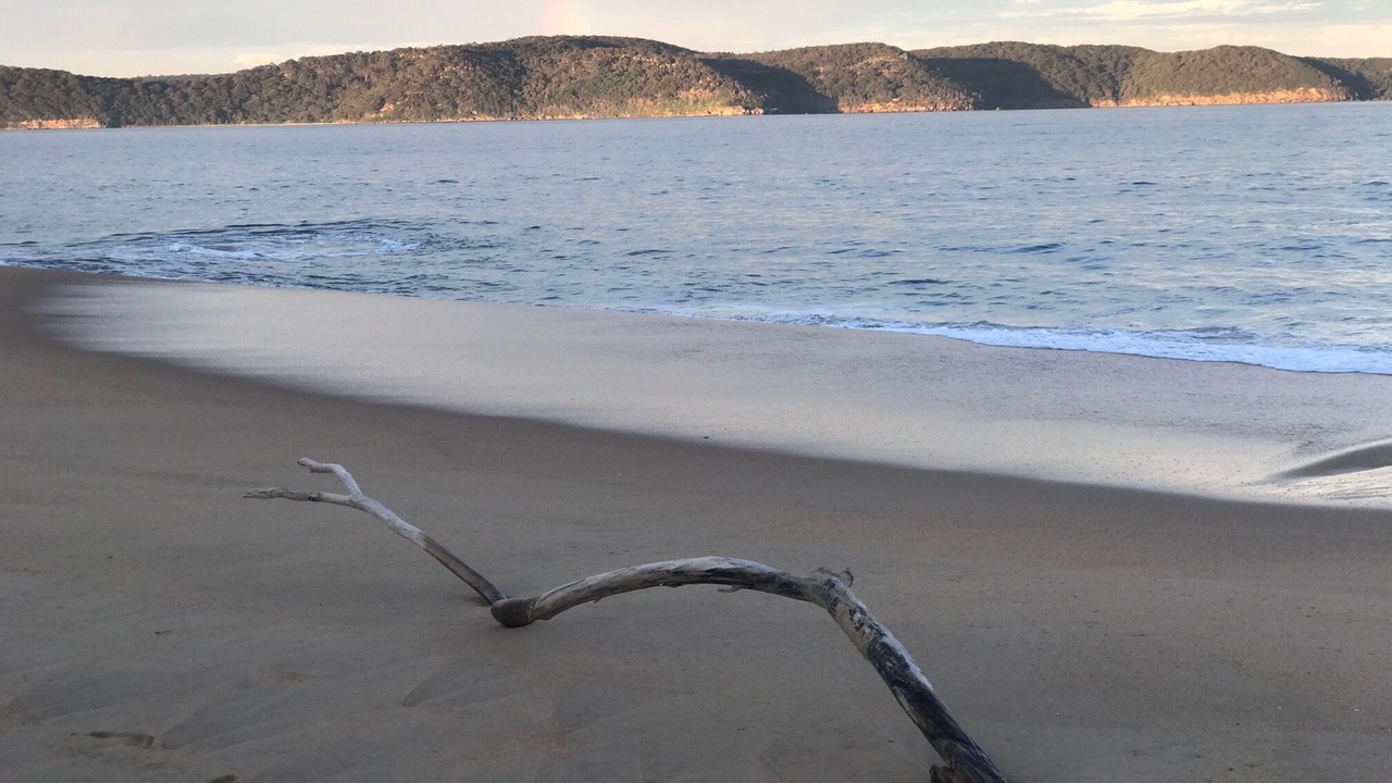 Photo of Others in Pearl Beach