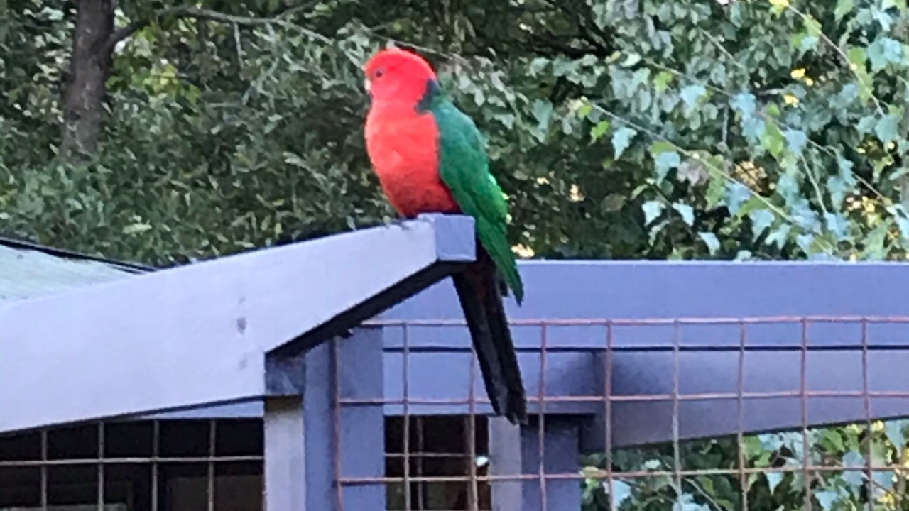 Photo of Others in Trentham