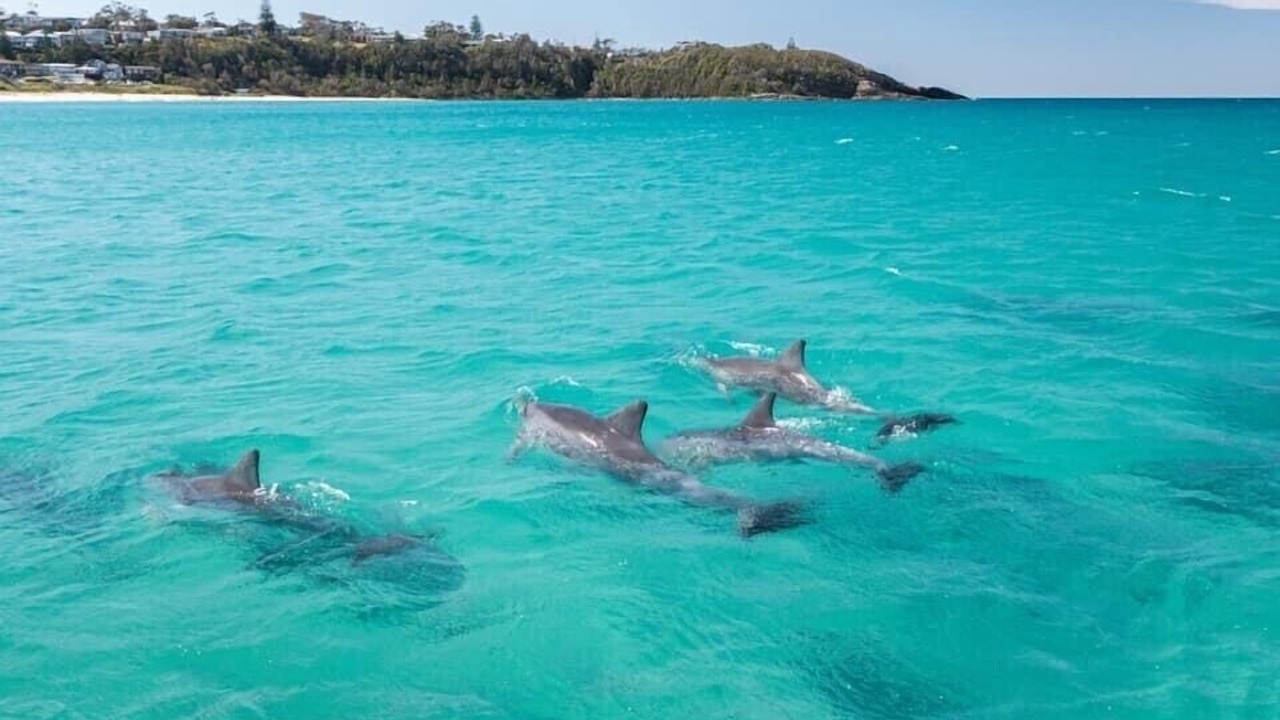 Photo of Others in Mollymook Beach
