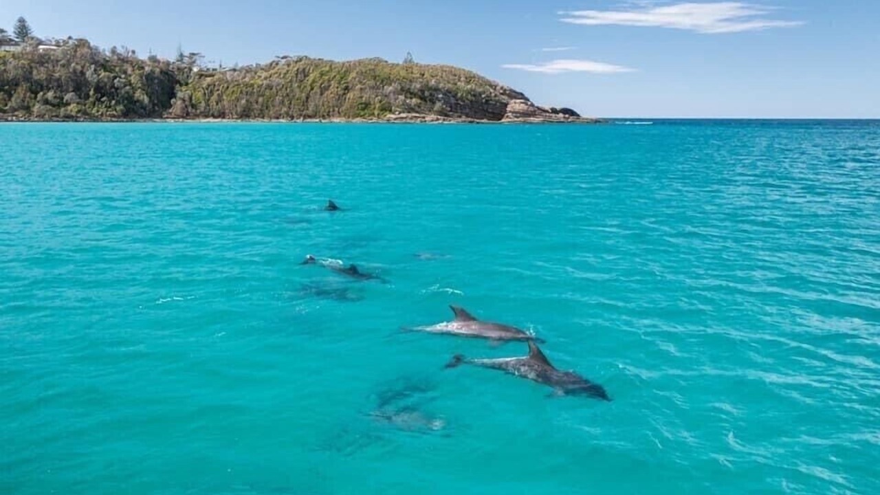 Photo of Others in Mollymook Beach