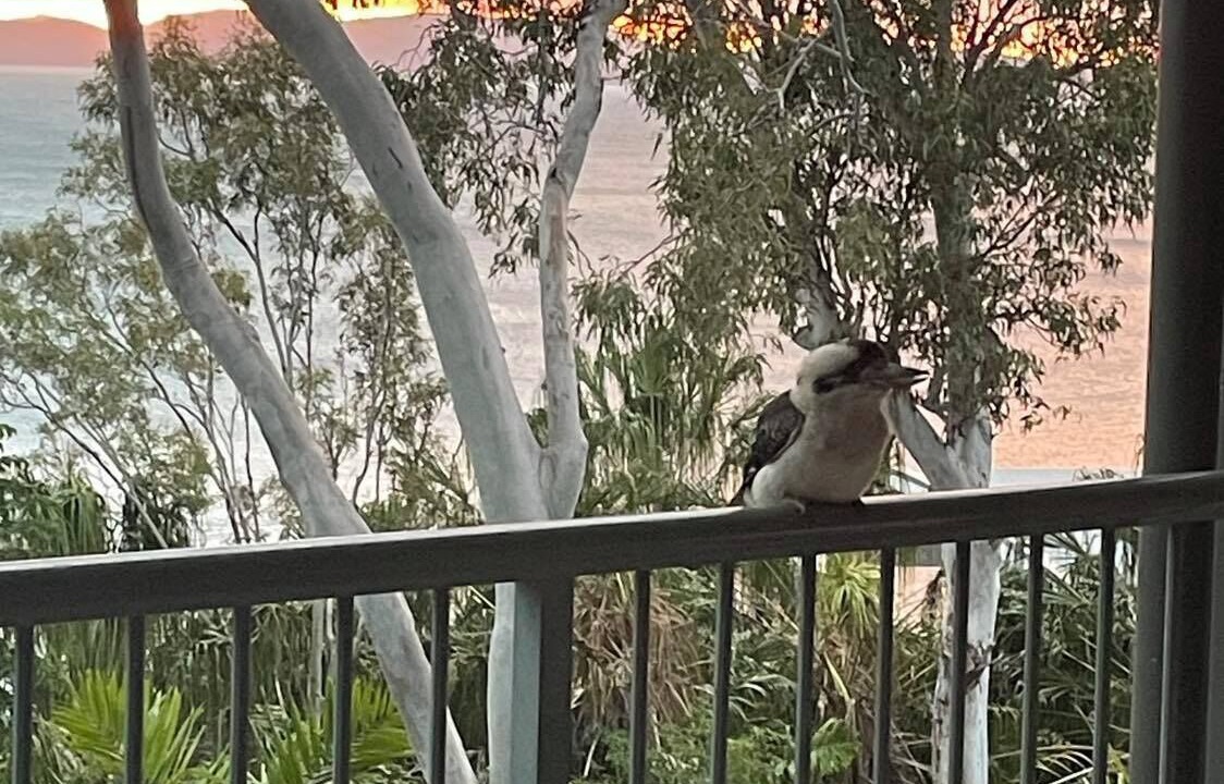 Photo of Outdoor in Hamilton Island