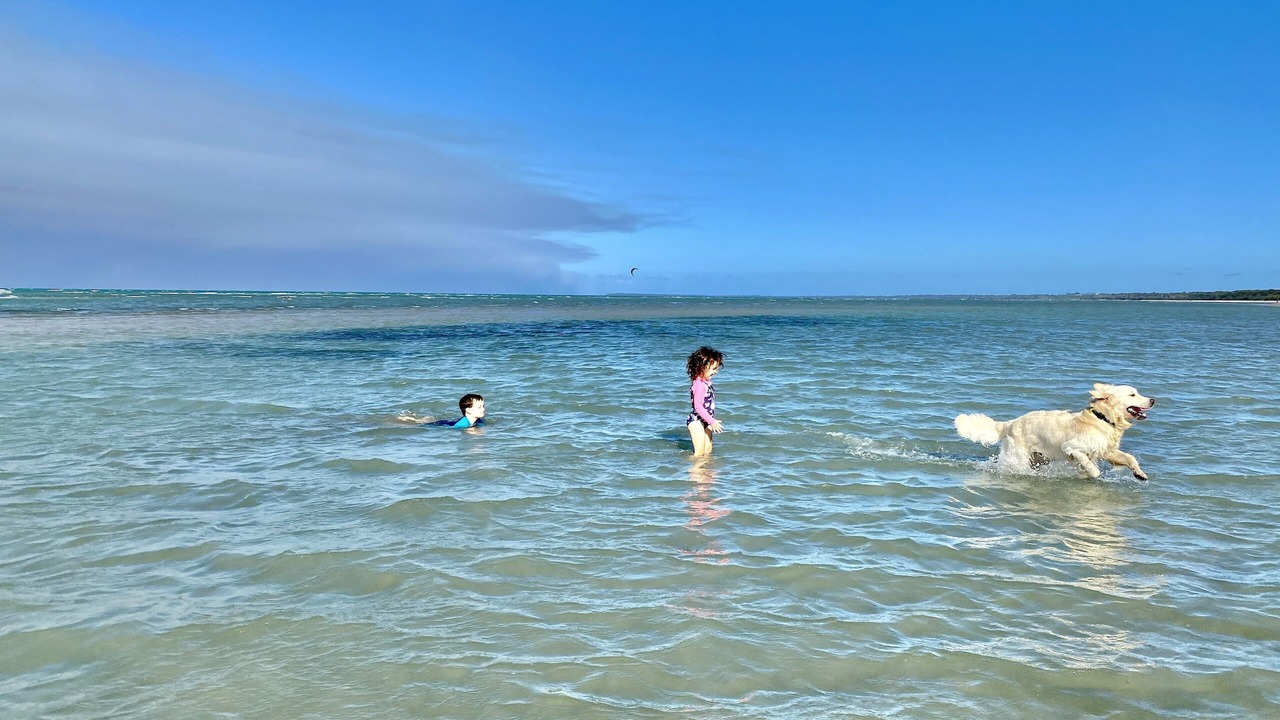 Photo of Others in Toogoom