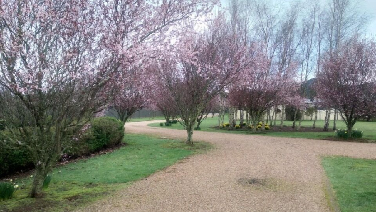 Photo of Outdoor in Sheffield