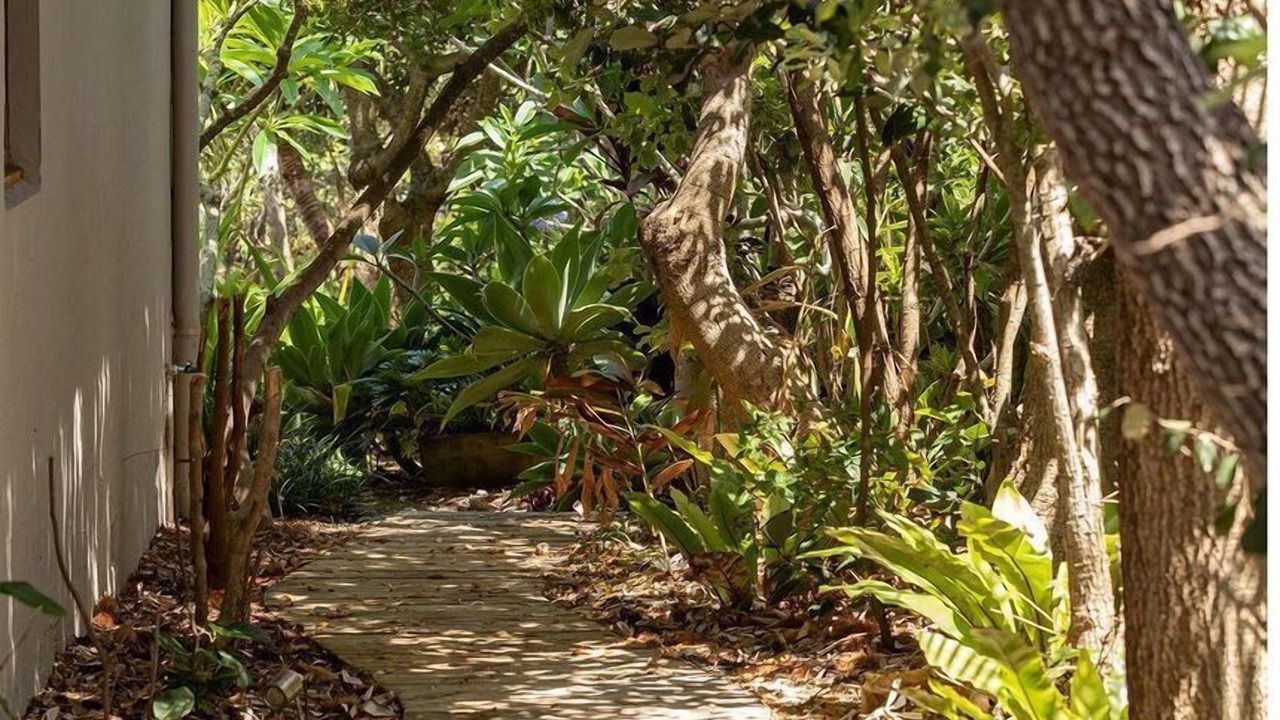 Photo of Outdoor in Blueys Beach