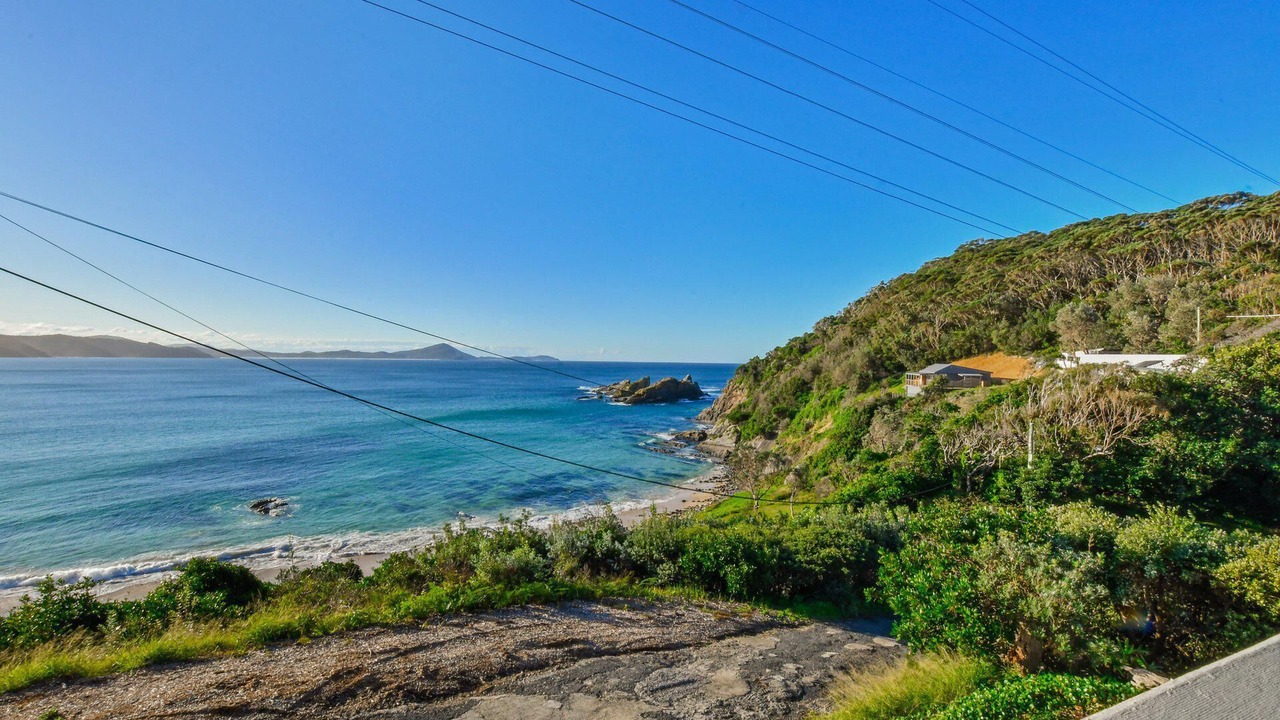 Photo of Others in Seal Rocks