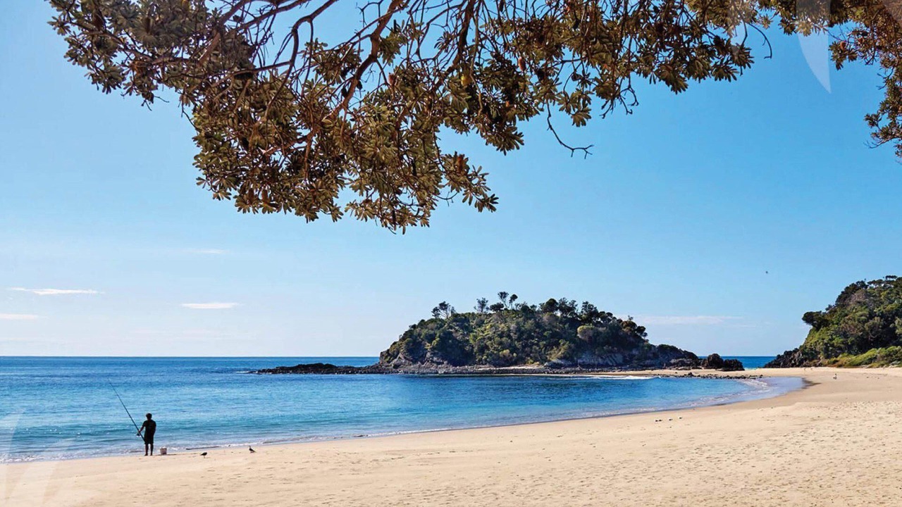 Photo of Others in Seal Rocks