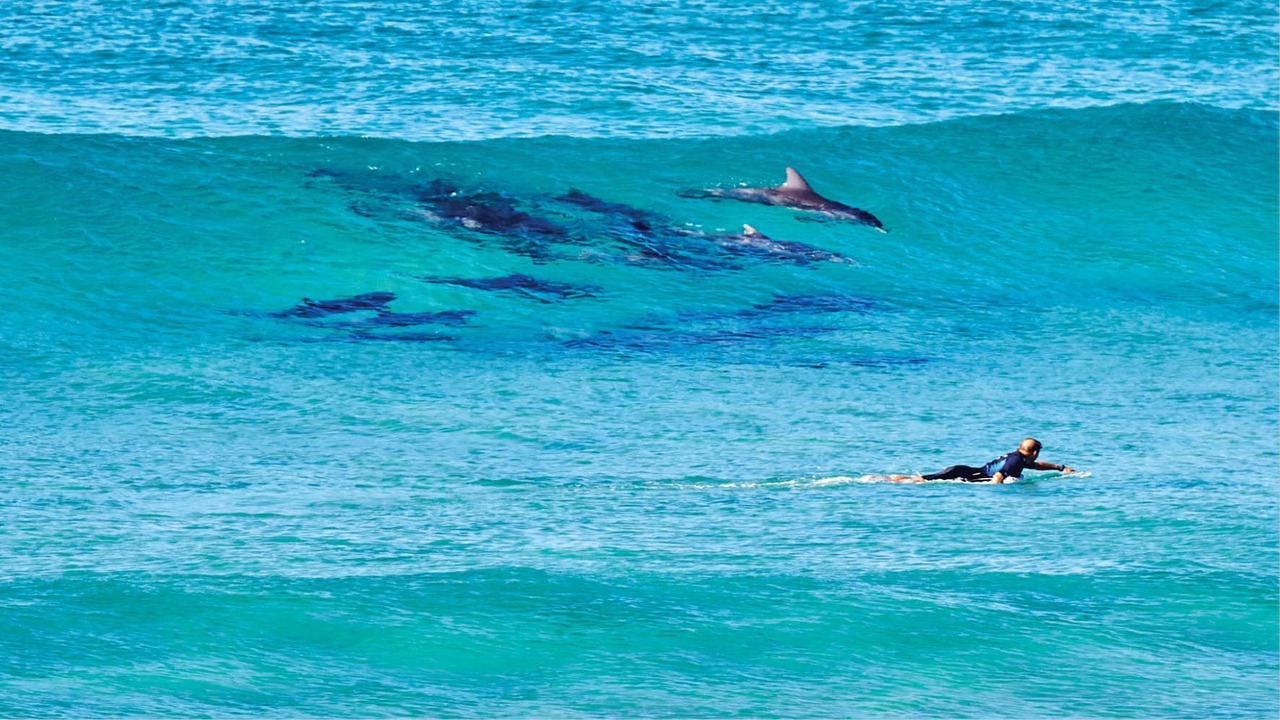 Photo of Others in Boomerang Beach