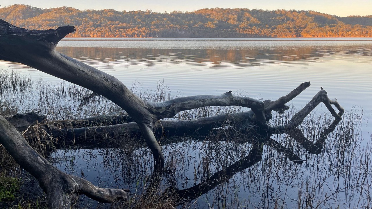 Photo of Others in Smiths Lake